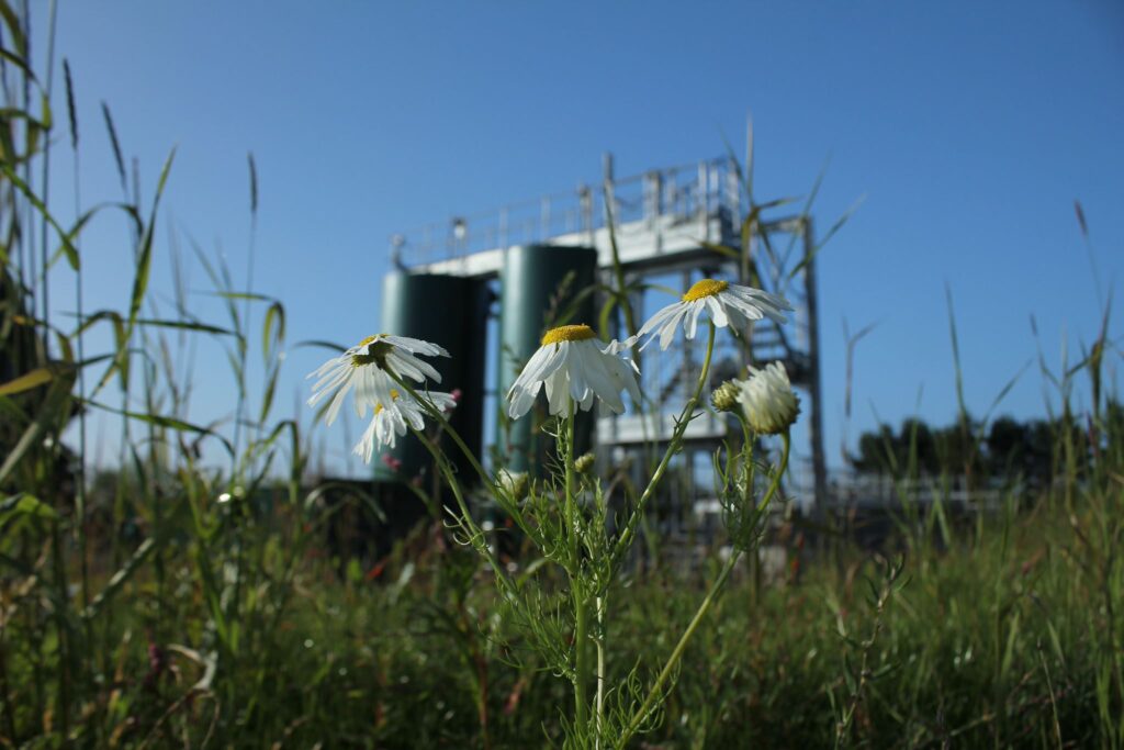 Bioresource Forum at WWCE - Blackridge (taken by Brian Carral)
