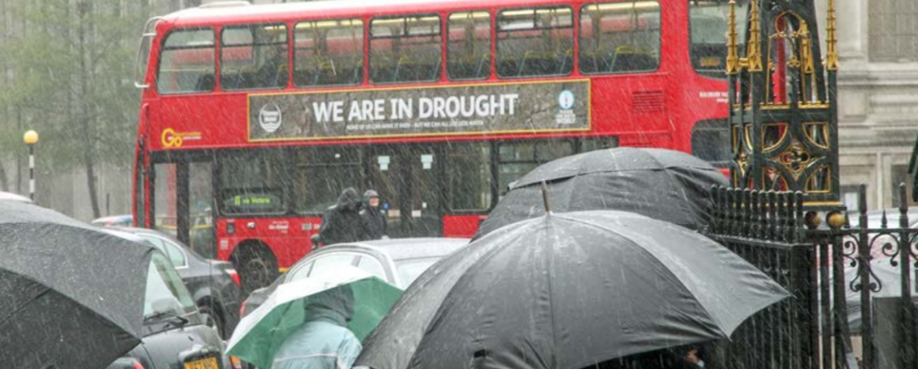 too much too little rain
